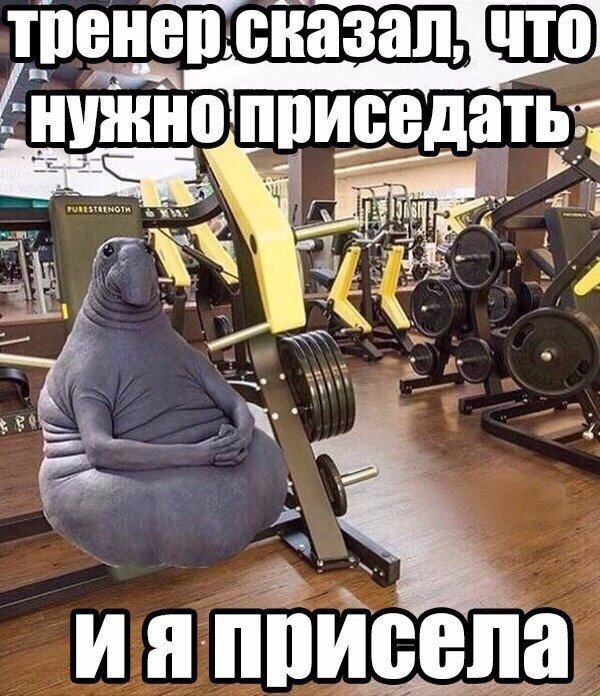 Подборка старых мемов и баянов