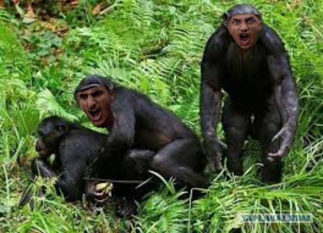 Фотожаба: AAAAAA!