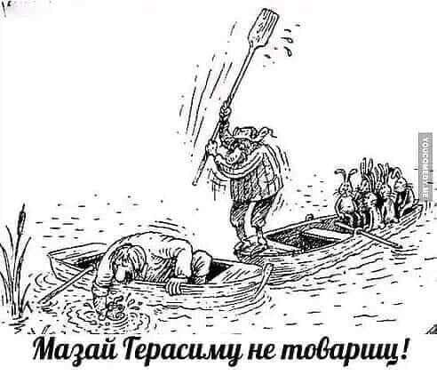 Картинки и мемы для настроения 020