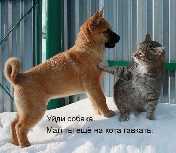 Так себе картинки 24.08.21