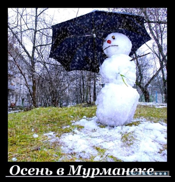 Можно ли устроить личную жизнь в 50+?