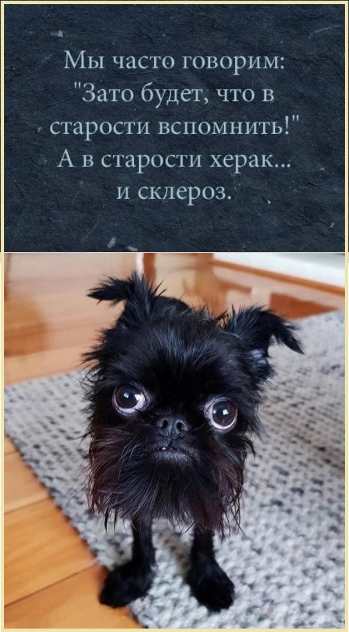Картинки с надписями и всякие жизненные фразы