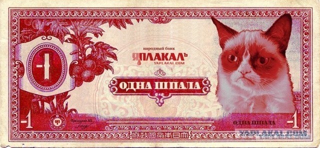 Ухаживать за маленькими пандами непросто - можно помереть от взрыва мимимиметра