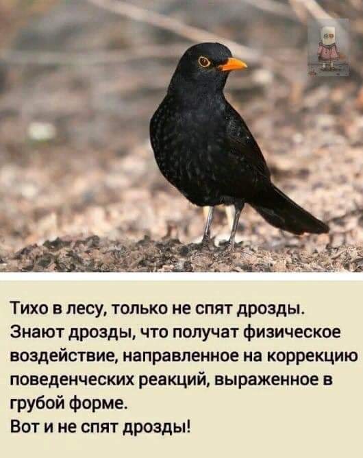 Так себе картинки 23.04.22