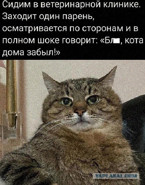 Тютелька в тютельку
