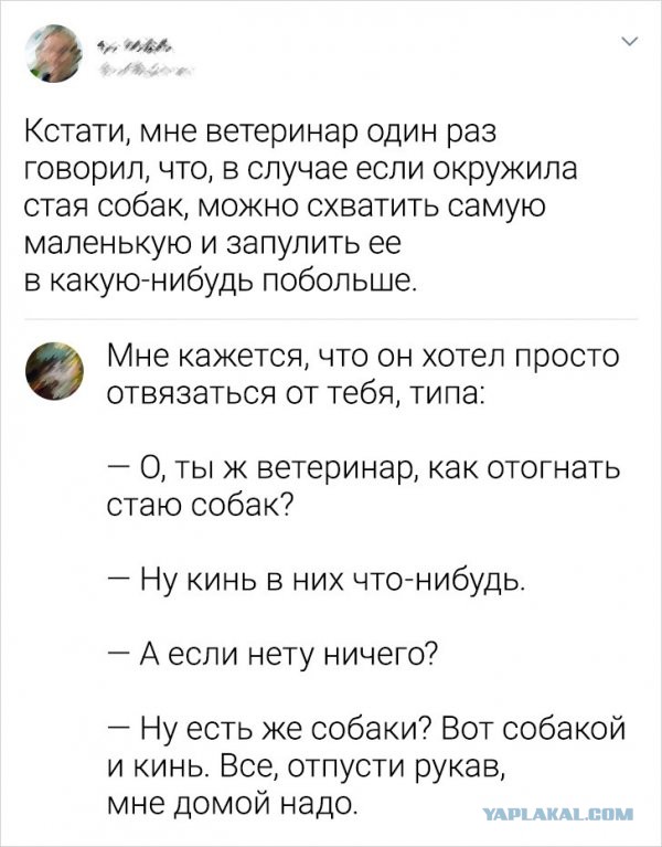 Картинки и мемы для настроения - 111