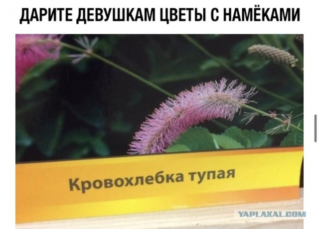 Немного картинок для настроения - 117