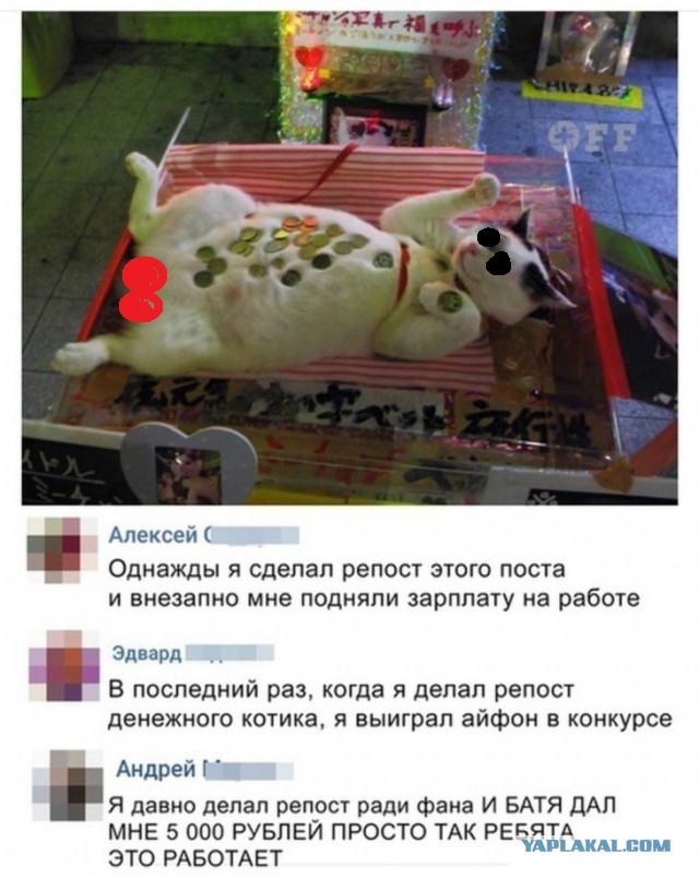 Скриншоты и комментарии из социальных сетей 10.12.22