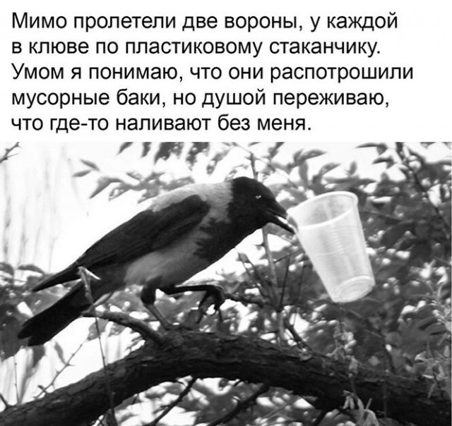 Картинки и мемы для настроения - 119