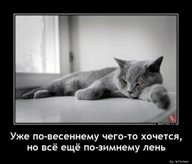 Немного картинок для настроения 07.03.2023
