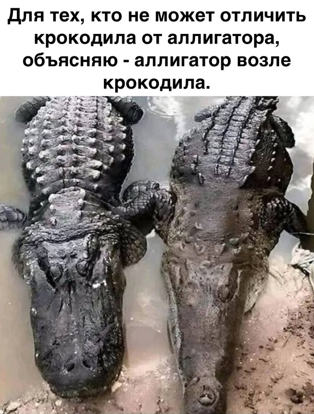 Немного картинок для настроения - 165