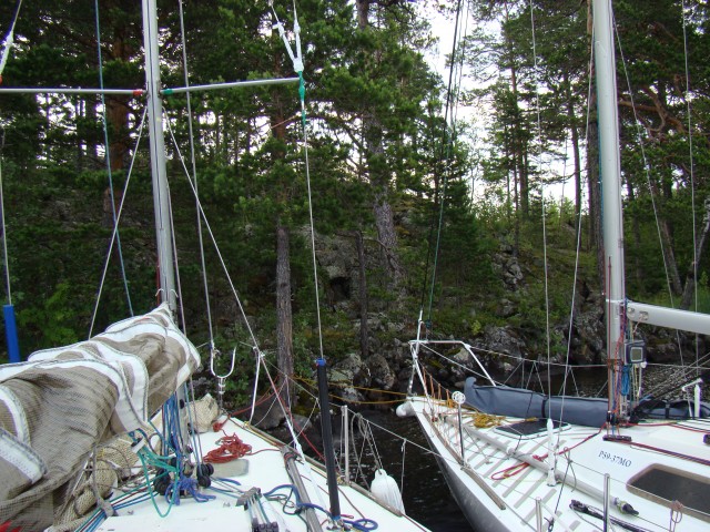 Трое в лодке