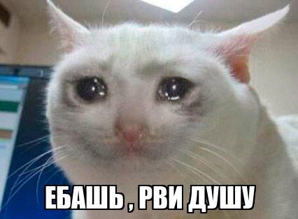 Сыграл как смог