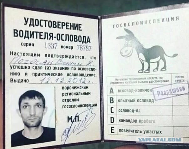 Житель Санкт- Петербурга против двух машин со специалистами на тротуаре.