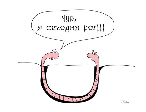 Заключительная порция баянов в уходящем году