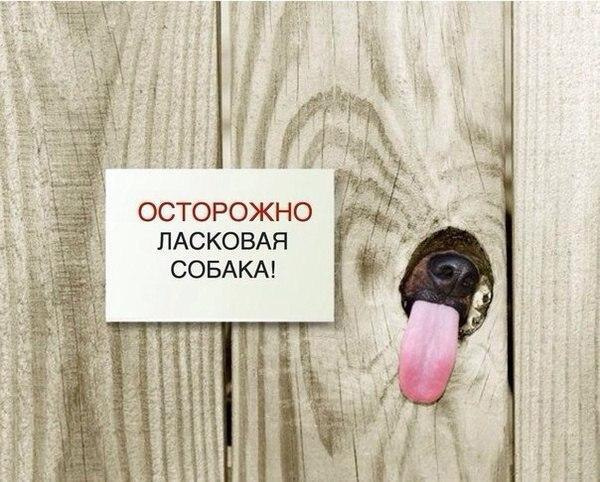 Так себе картинки 27.03.24
