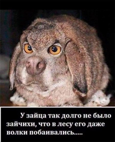 ТРРРидцать тРРРи от 3 мая