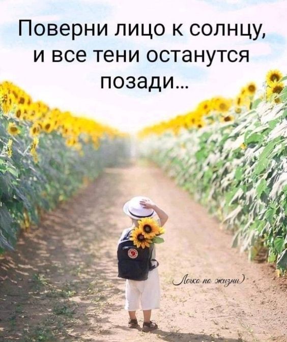 Прикольные и просто красивые картинки 21.06.2024