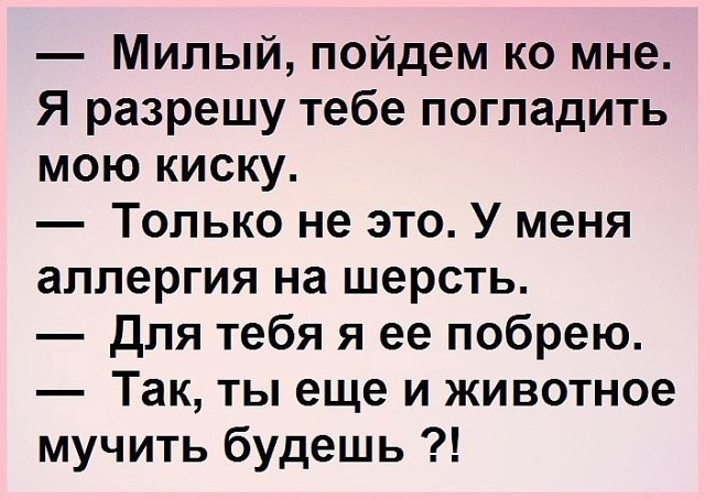 Так себе картинки 28.11.24