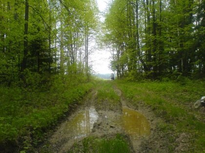 Фото с телефона