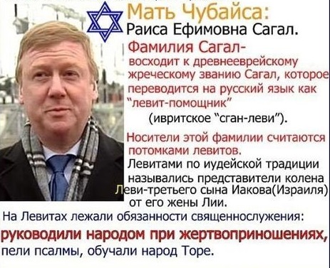 Пресс-секша БД Кэролайн Ливитт умело сечёт поляну