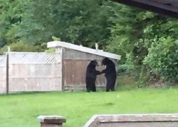 Засадил бы?