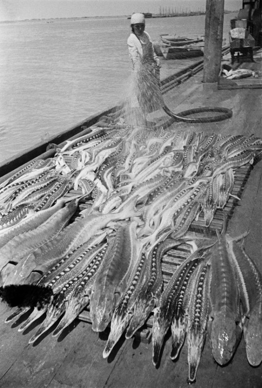 ​ Фотографии из прошлого нашей страны – 110