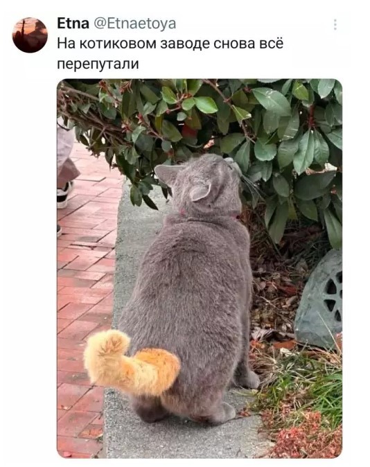 Картиночки, баянчики 26 апреля