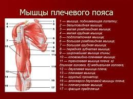 Кто такая фригидная женщина?