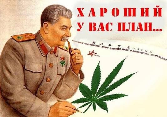 Котеек необычных псто