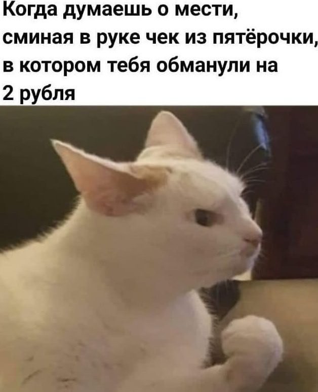 Картинки для деградации 293 (разной степени свежести)