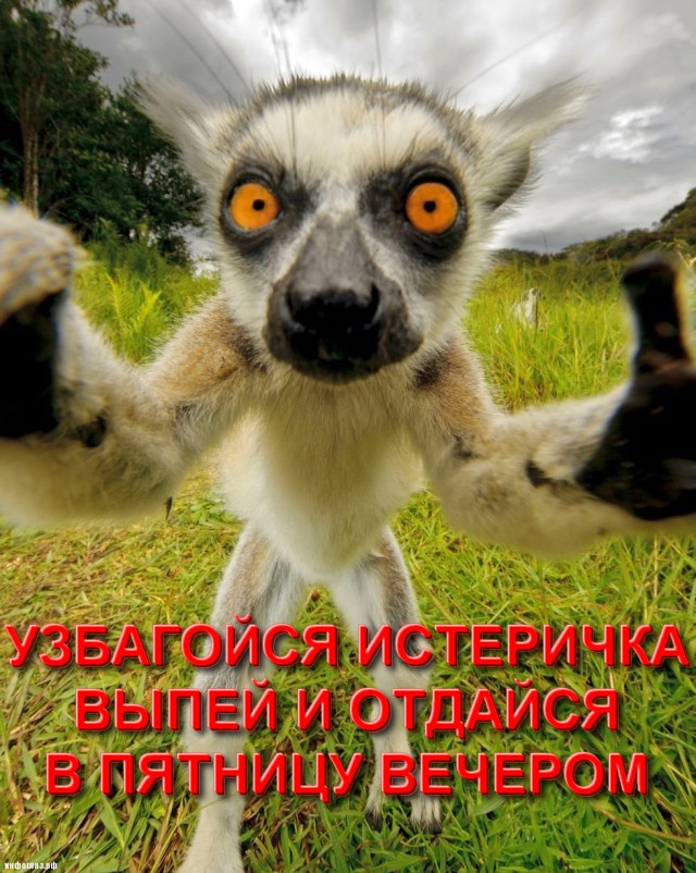 Ты кто?!