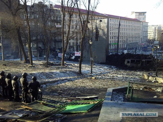 "Георгиевские " ленточки против флагов УПА