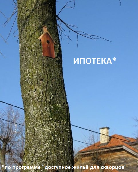 Это под силу любому рукожопу .