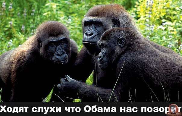 Выступление Барака Обамы