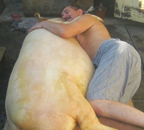 Мой подвал, мой бизнес !