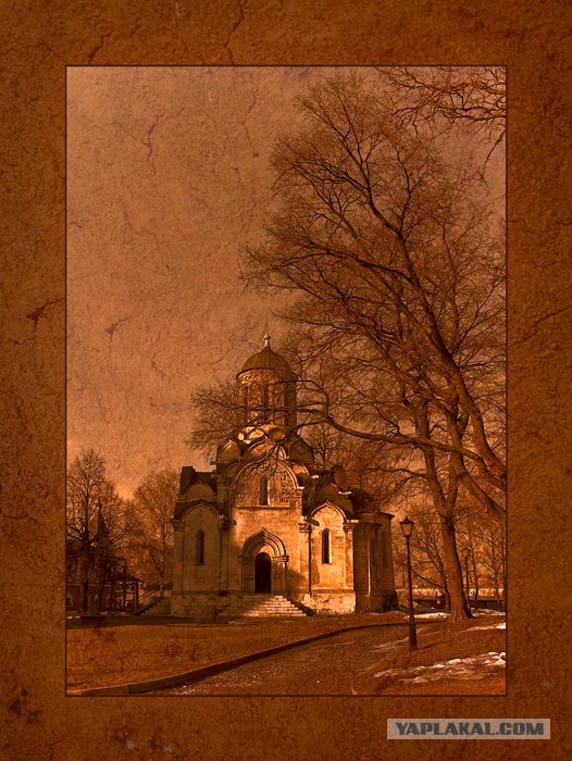 Фотограф от бога.