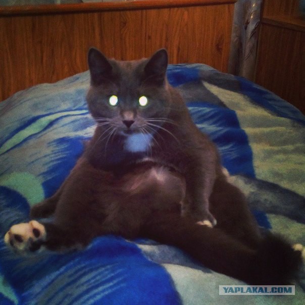 Случайно ночью нашел