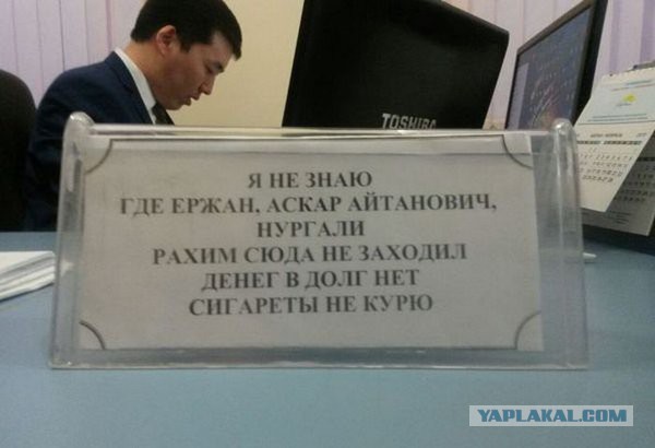 Прикольные надписи и объявления