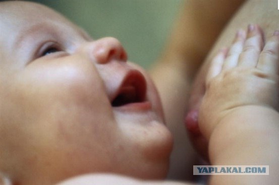 К чему приводят разговоры о сиськах