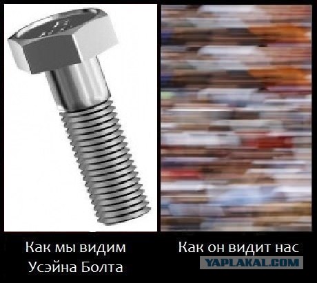 Как нас видит Усейн Болт