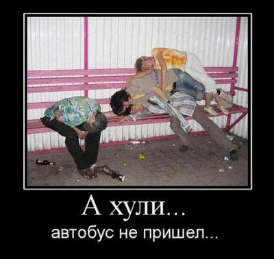 Алкопост.