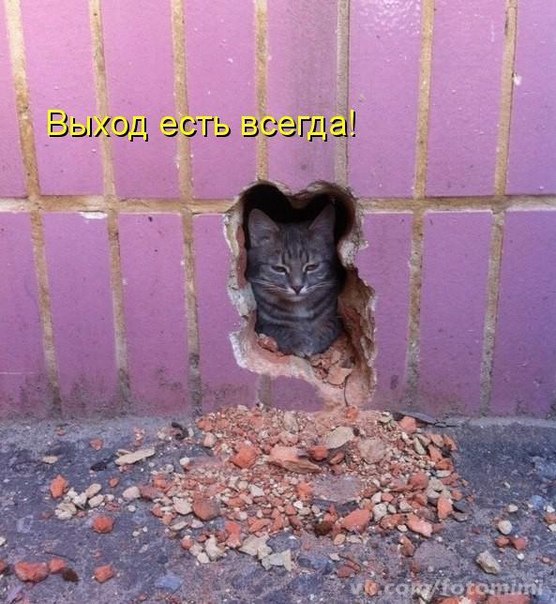 Картинки, надписи