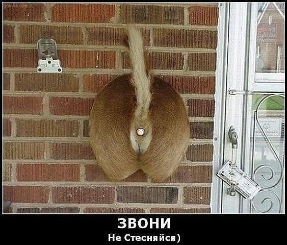 Подборка прикольных фото на пятницу