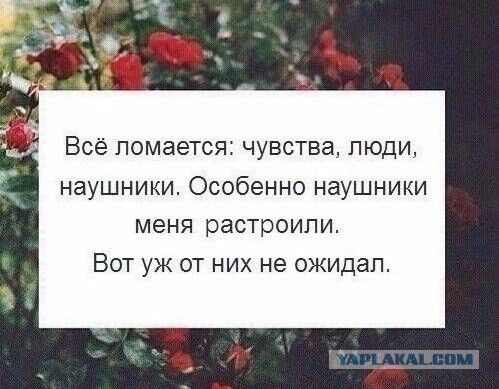 Разные картинки из сети