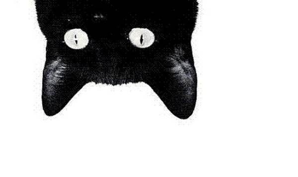 Разные картинки