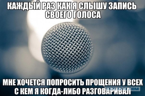 Веселые картинки