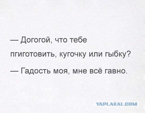 Злые шутки или минутка сарказма на ЯП-е, 16+