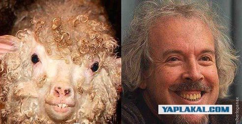 Двойники есть у всех