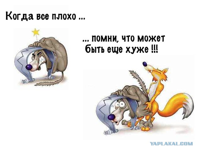 Смешные картинки